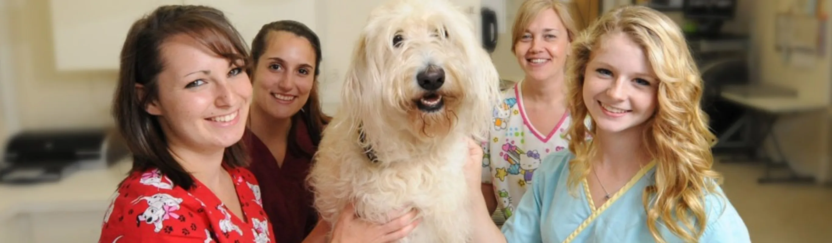 four staff members pose around a fluffy dog and smile at the camera